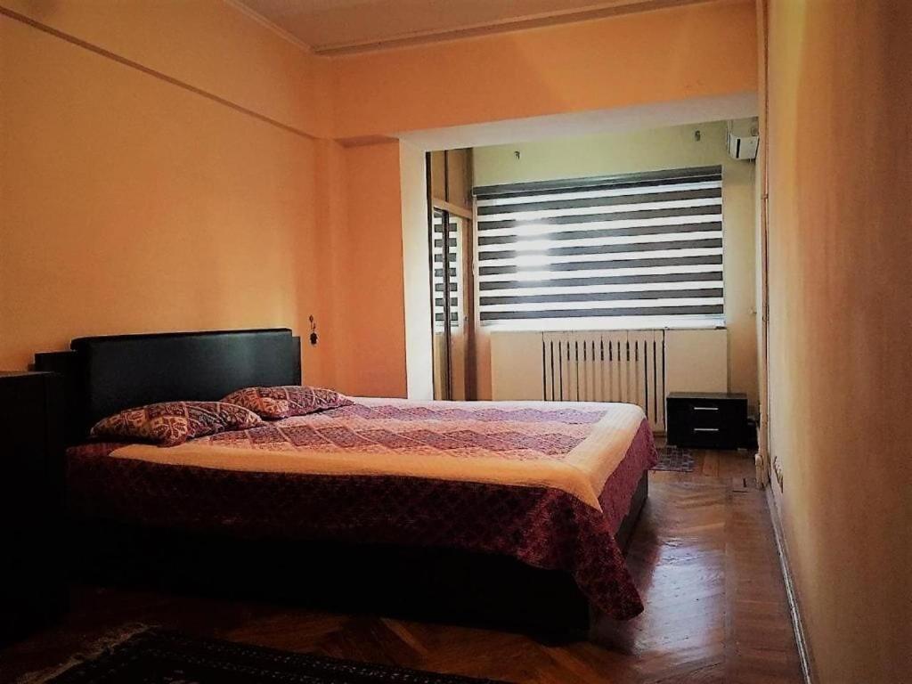 טשקנט Spacious And Cozy מראה חיצוני תמונה